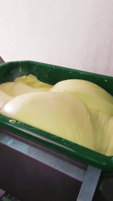 Mozzarella spun cheese kneading machine Stock Footage 247200857