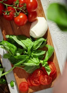 Mozzarella with tomato and basil. Stock Photos