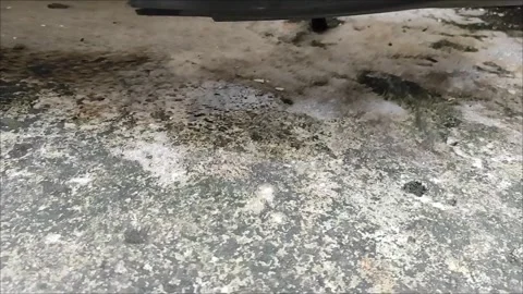 MP4 20251029 114332VLOG Stock Footage 320131979