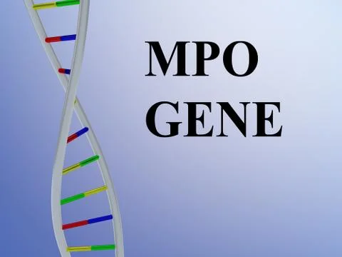 MPO GENE concept Stock Illustration