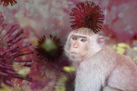 Mpox caused by monkeypox virus. Monkeypox outbreak. Viral transmission from.. 库存照片