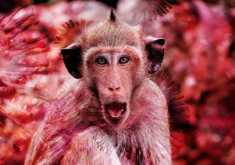 Mpox caused by monkeypox virus. Monkeypox outbreak. Viral transmission from.. 库存照片