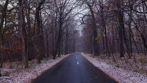 Mpty asphalt road in the forest with snowy weather. Stock Footage 258244553
