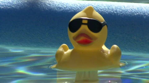 Mr Cool Duck 2.0 Stock Footage 311766