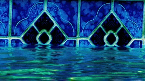 Mr Cool Duck Video stock 124670