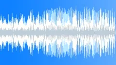 Mr Jolly and Mrs Fun (60 sec) Stock Music