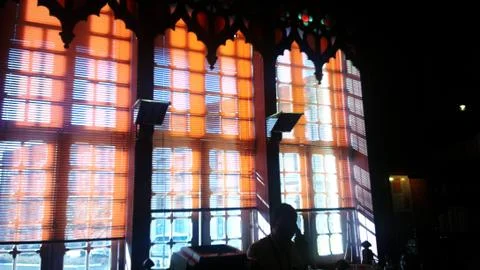 Mr. Librarian 스톡 사진