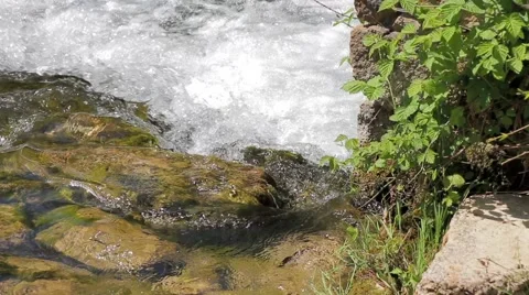 MREZ 32 Beautiful rushing green river water stones rapids Stock Footage 40142880
