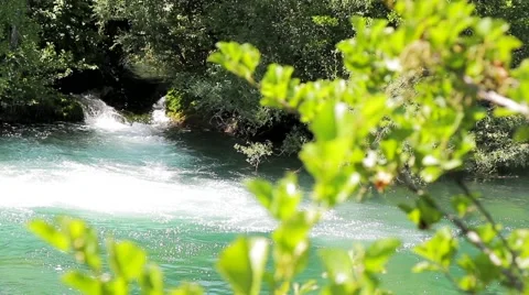 MREZ 43 Forest stream waterfall through tree branches 1 Stock Footage 41536820