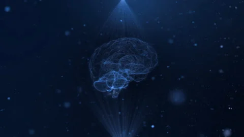 MRI of the brain. Animated three-dimensional model of the brain in the rays of Stock Footage 134700543