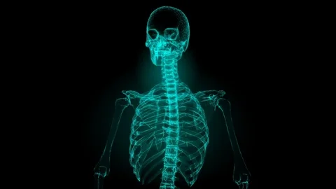 MRI brain scan Stock Footage 73608618