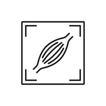 MRI scan of aortic dissection coronary artery icon Stock Illustration
