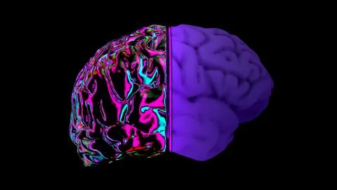 MRI scan of the brain Stock Illustration