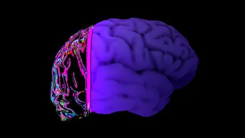 MRI scan of the brain Stock Illustration