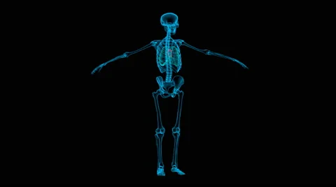 MRI Skeleton with Red Heart Stock Footage 61899357
