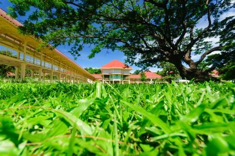 Mrigadayavan palace Stock Photos