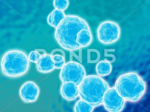 Mrsa bacteria, artwork Stock Illustration
