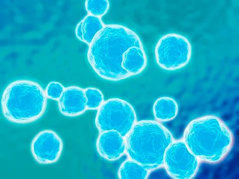 Mrsa bacteria, artwork Stock Illustration