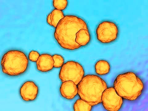 Mrsa bacteria, artwork Illustrazione stock