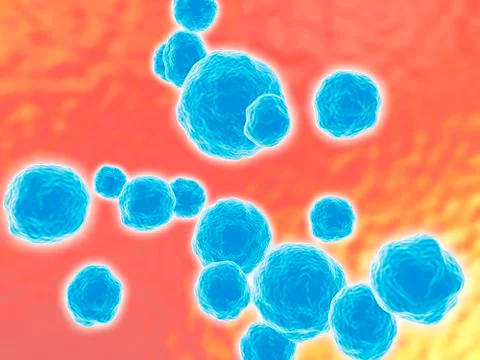 Mrsa bacteria, artwork Illustrazione stock
