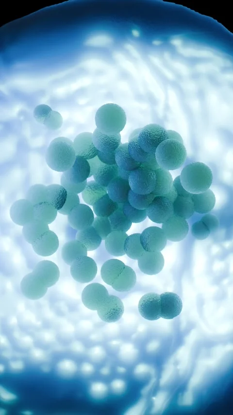 MRSA Bacteria Clusters - Methicillin-Resistant Staphylococcus Aureus Superbug 库存影片 327013306