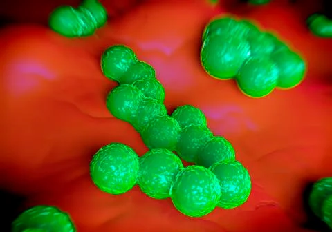 MRSA bacteria Stock Illustration
