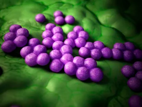 Mrsa bacteria Illustrazione stock