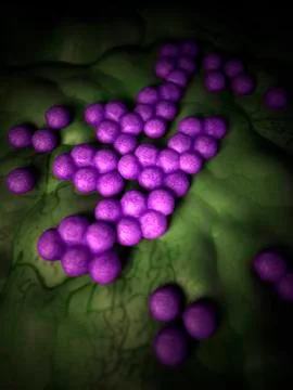 Mrsa bacteria Stock Illustration