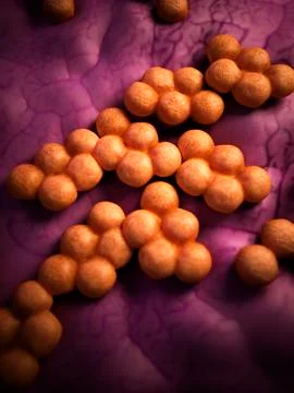 Mrsa bacteria Illustrazione stock