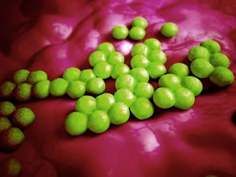 Mrsa bacteria, illustration Illustrazione stock