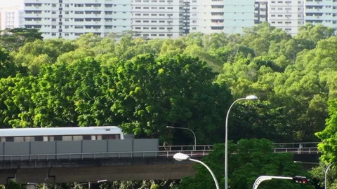 Mrt passing by 動画素材 135649124