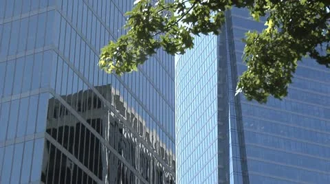 MS Building with branch Stock Footage 11878478