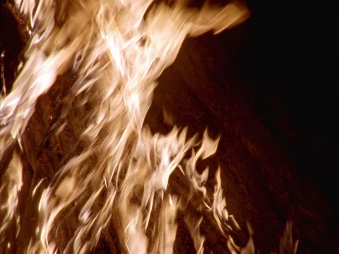 MS flames on burning bark at night. Stock Footage 86751016