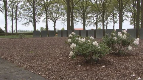 MS Flowers and Trees at Mass Grave Site in Langemark German War Cemetery Stock Footage 112407507