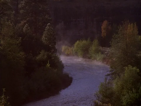 MS of Gila River in valley surrounded by trees and mist Stock Footage 86751131