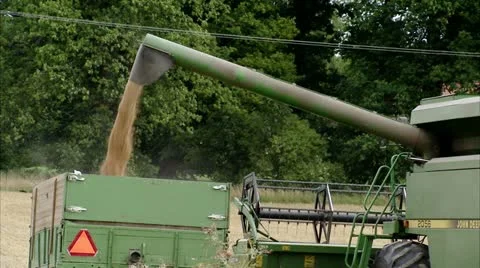 MS Harvested wheat spouting into tractor trailer on field Stock Footage 11341426
