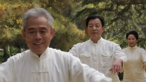 MS PAN SELECTIVE FOCUS Elderly people doing Tai Chi in park / China Stock Footage 69945477