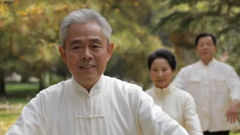 MS PAN SELECTIVE FOCUS Elderly people doing Tai Chi in park / China Stock Footage