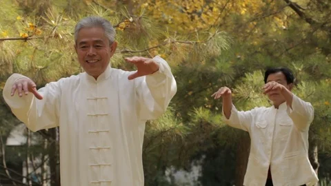 MS PAN Two elderly men doing Tai Chi in park / China Stock Footage