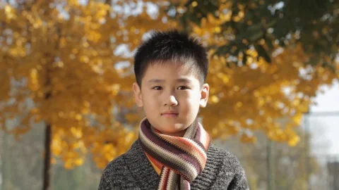 MS Portrait of boy wearing scarf, smiling at camera in park / China Stock Footage 69943793