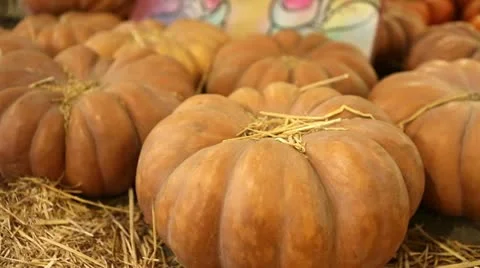 MS of Pumpkins 库存影片 12285035