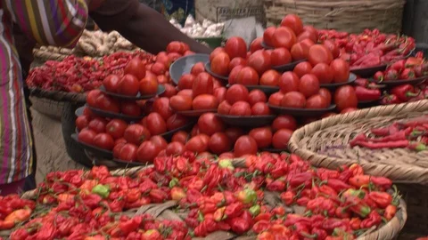 MS red ripe tomatoes and red chili peppers in Lagos market Stock Footage 86760962