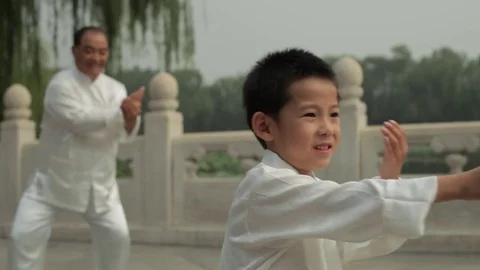 MS SELECTIVE FOCUS Young boy and mature man doing Tai Chi in a park by lake / Stock Footage 69939293