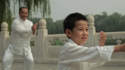 MS SELECTIVE FOCUS Young boy and mature man doing Tai Chi in a park by lake / Stock Footage 69953939