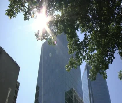 MS sun dappled building exterior Stock Footage 11565323