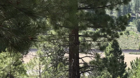 MS Train in the Mountains Stock Footage 245839116