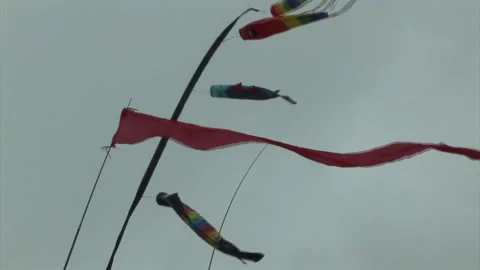 MS Various Flags on a Windy Overcast Day Stock Footage 273245278