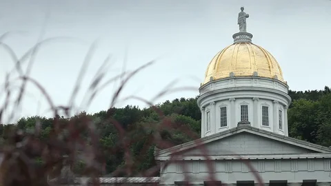 MS Vermont State Capital Building Dolly Reveal from Behind Flowers Montpelier VT Stock Footage