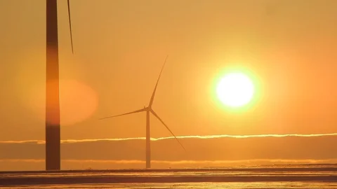 MS Windfarm.mov Stock Footage 98299218