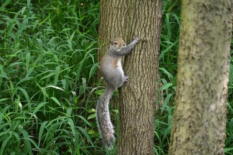 MS_ATL_005 Stock Photos